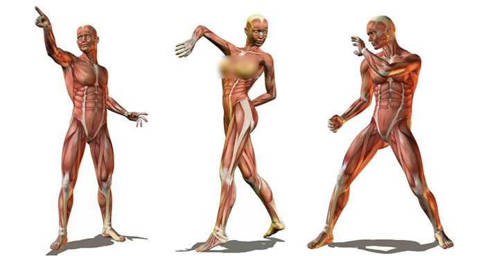 Artstation - Mels Mneyan - MALE CLASSIC Ballet POSES & MORE [ANATOMY  REFERENCE IMAGES]