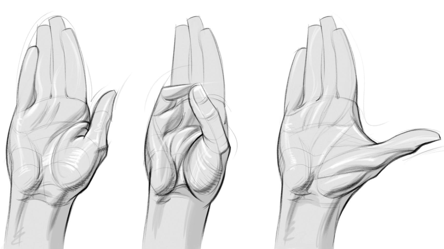 Рисунок руки человека