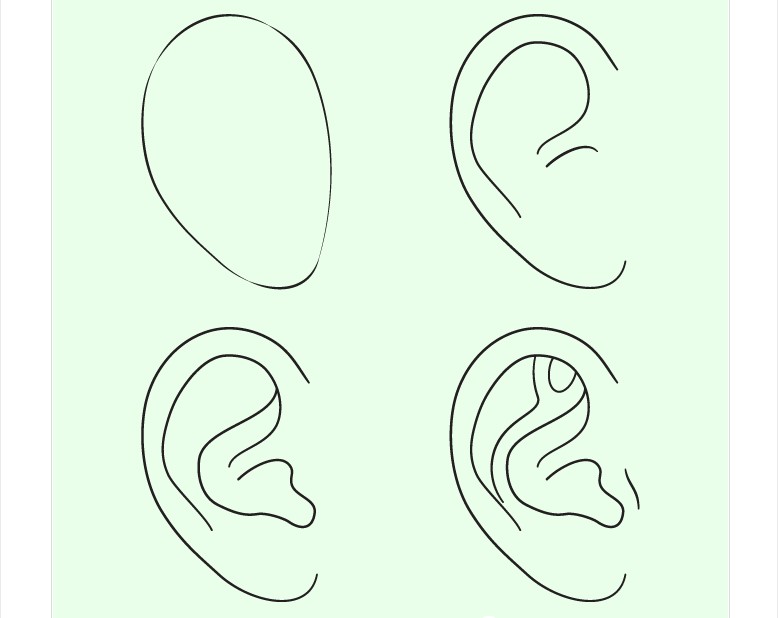 anime-1 How to draw an ear from the front and from the side
