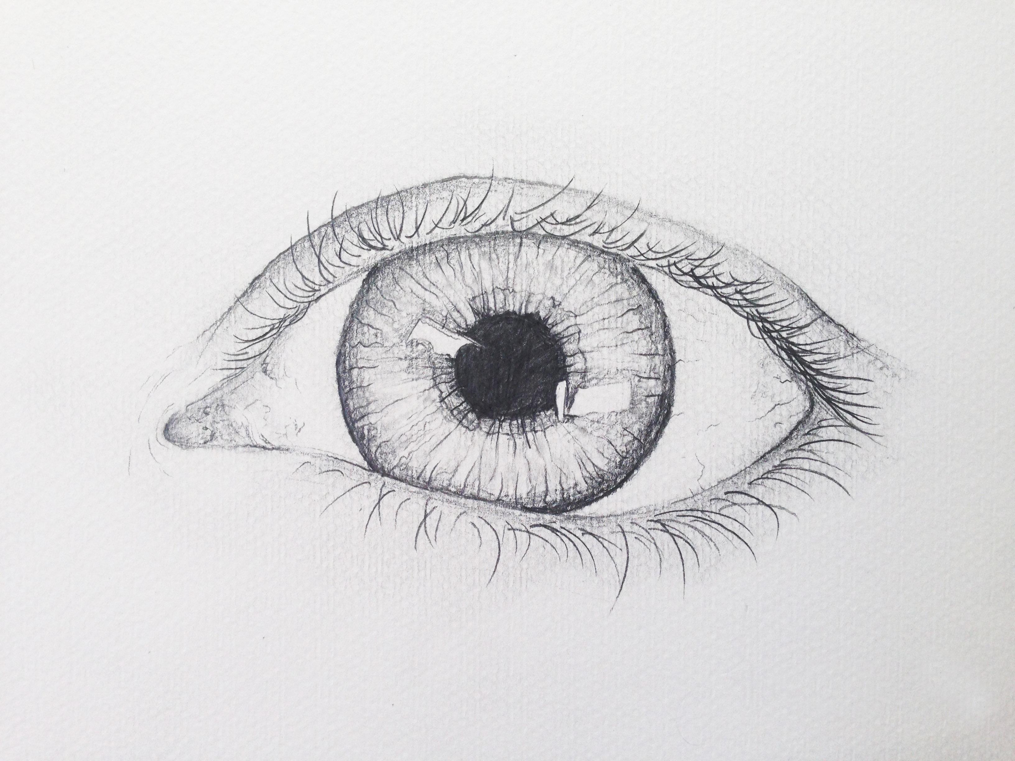 eye sketch base