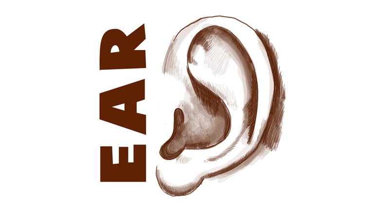 ee How to draw an ear from the front and from the side