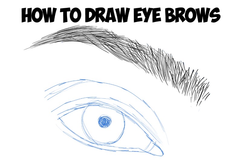 How To Draw Eyebrows Step By Step On Paper