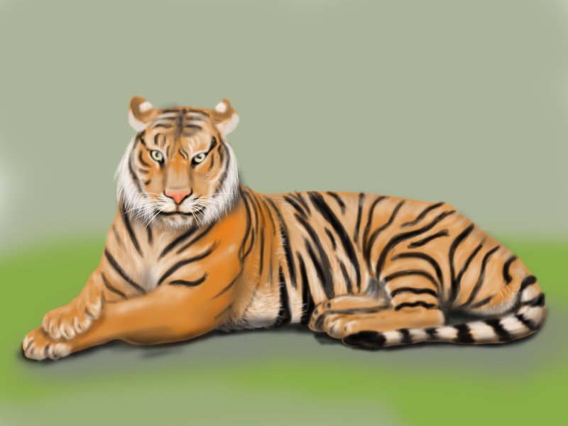 how-to-draw-a-bengal-tiger How to draw a tiger: Easy drawing tutorials for beginners