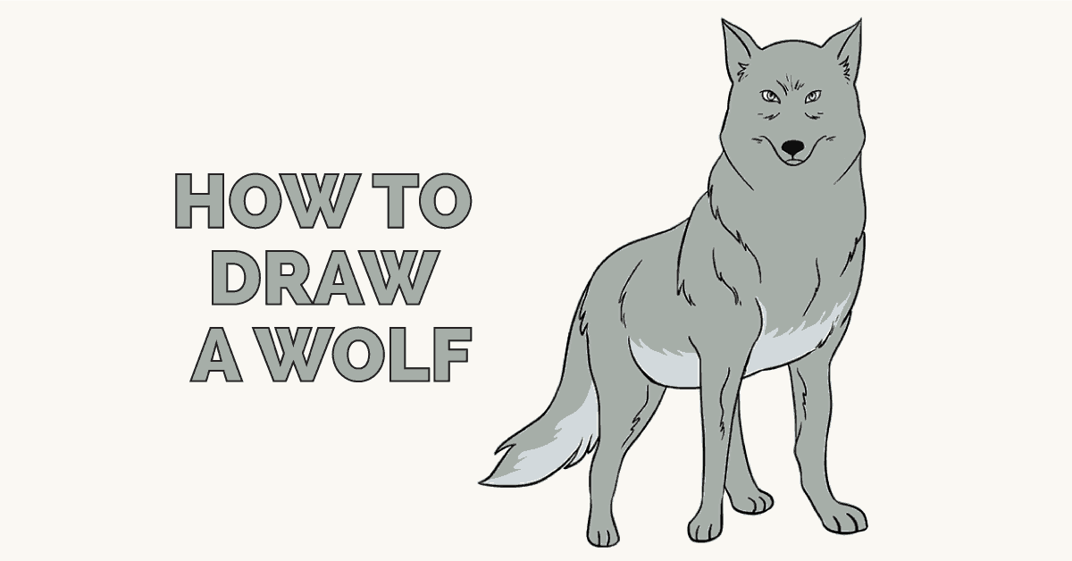 Portrait of a Grey Wolf Pencil Drawing Print Wildlife Art - Etsy