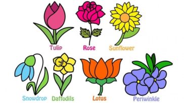How to draw a flower with these easy step by step tutorials for kids