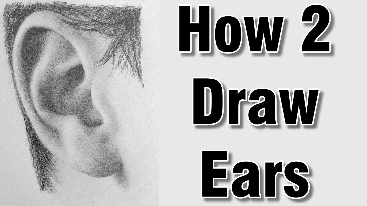 how-to-draw-ears-in-pencil-drawing How to draw an ear from the front and from the side