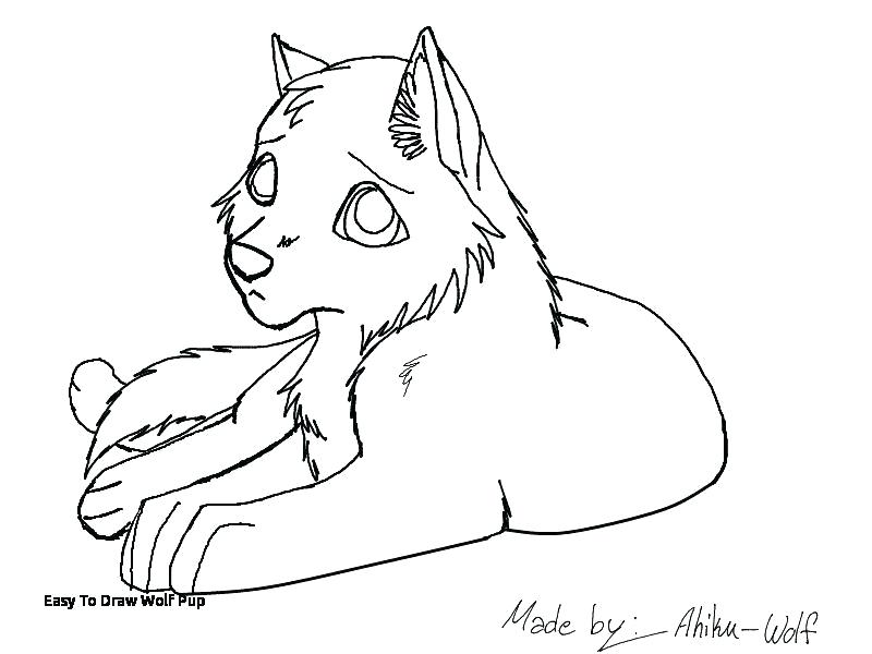 wolf pup sketch