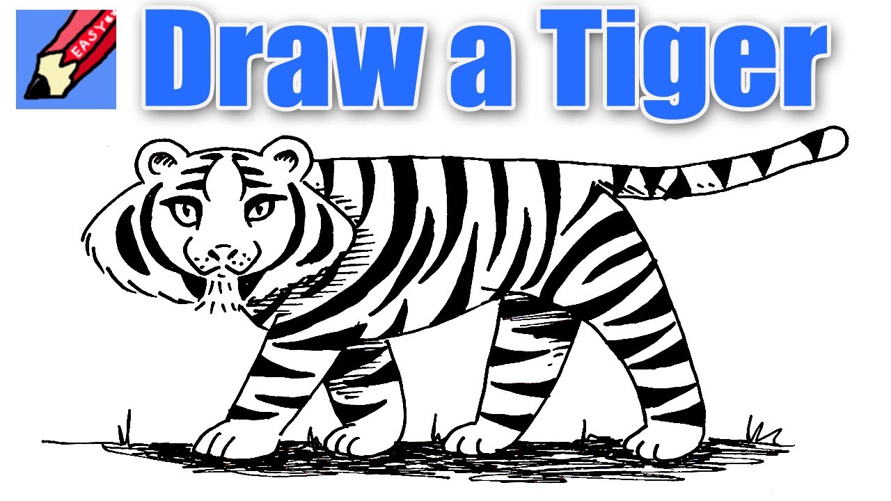 maxresdefault-1-22 How to draw a tiger: Easy drawing tutorials for beginners