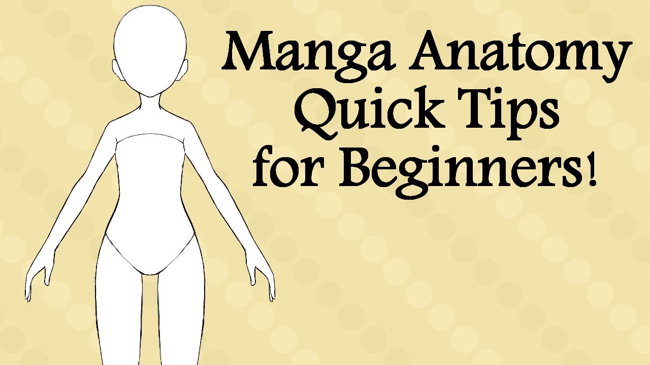 How to draw manga characters, a step by step beginner's guide