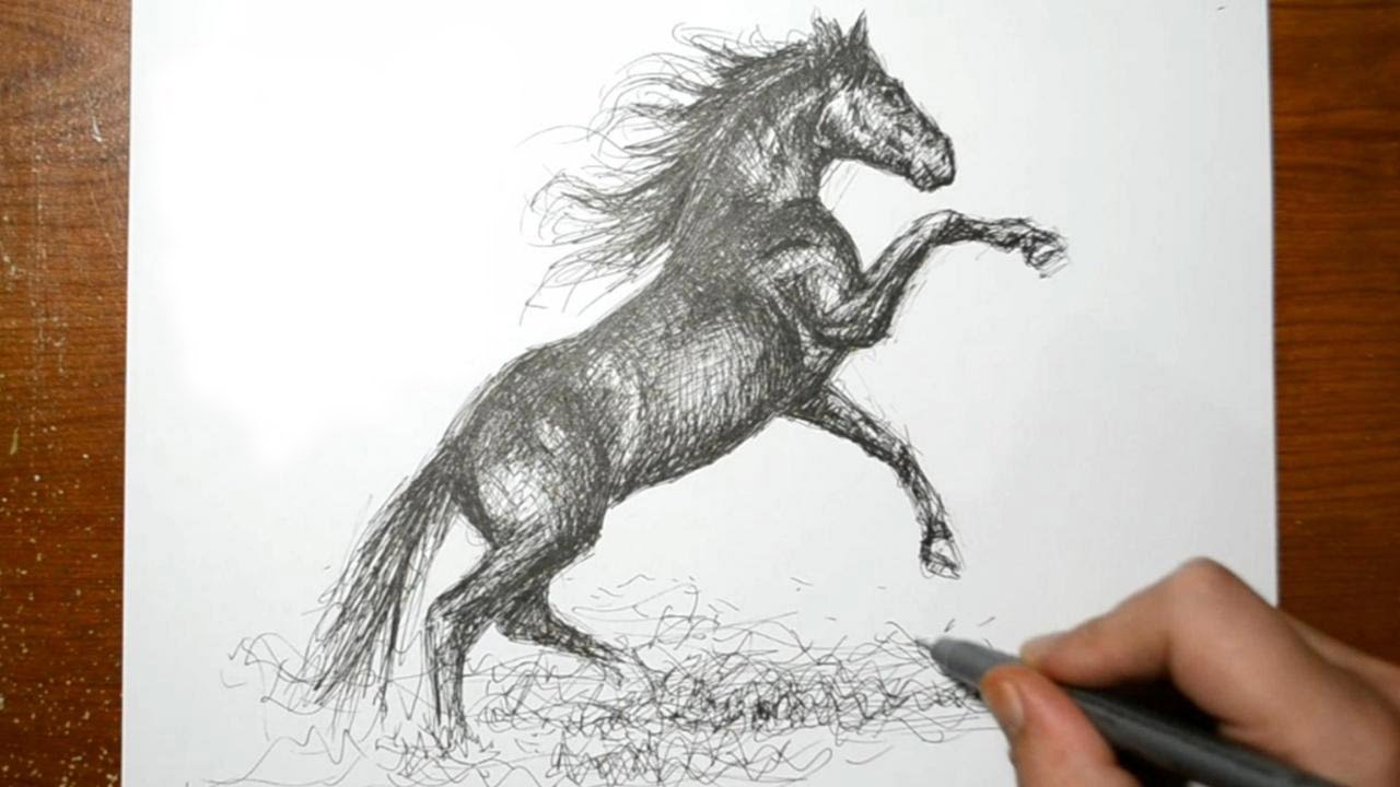 The Big Book of Drawing Horses  Ponies  Pony Magazine