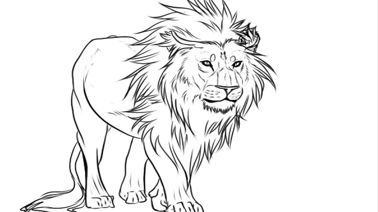 maxresdefault-12 How to draw a lion face and body (Tutorials for beginners)