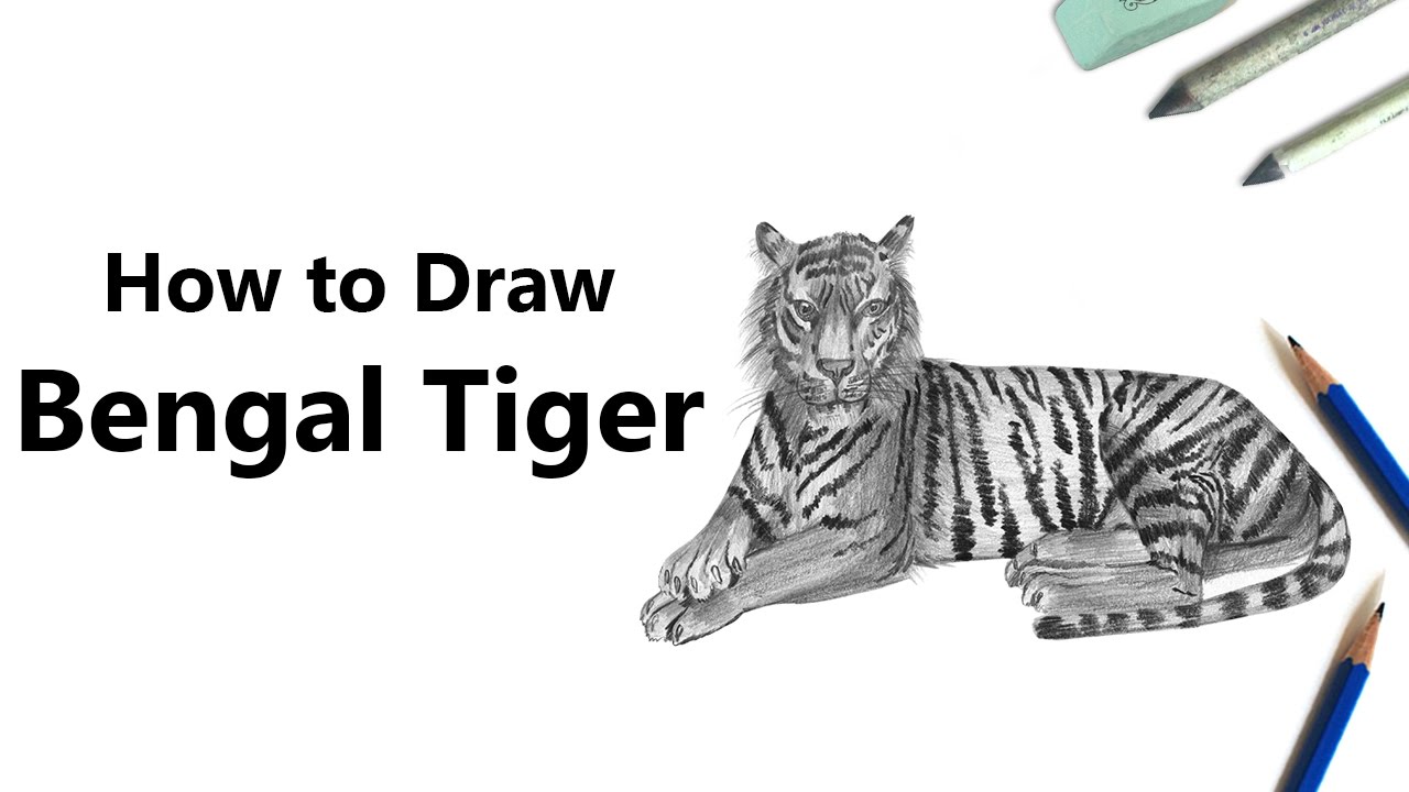 maxresdefault-29 How to draw a tiger: Easy drawing tutorials for beginners