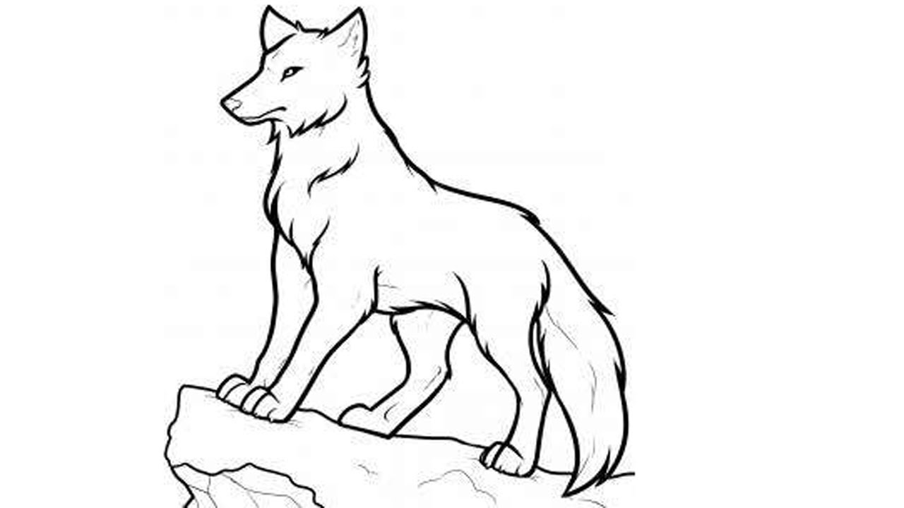 Wolf Drawing Tutorial