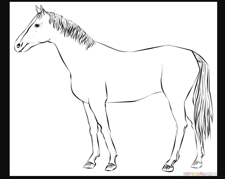rh How To Draw A Horse: Tutorials That Beginners Should Check Out