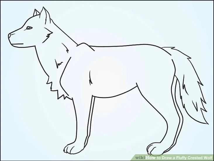 cool wolf drawings easy
