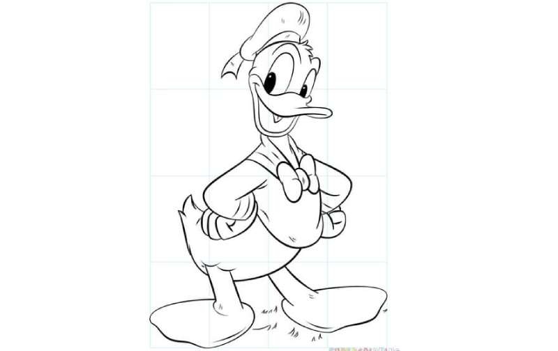 Eight-Steps-Drawing-Donald-Duck-1 How To Draw Donald Duck Right Now
