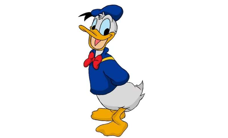 How-To-Draw-Donald-Duck-In-Six-Steps How To Draw Donald Duck Right Now