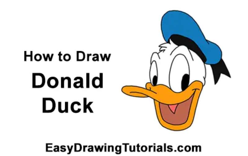 How-To-Draw-Donald-Duck-Video-Step-By-Step-Pictures-1 How To Draw Donald Duck Right Now