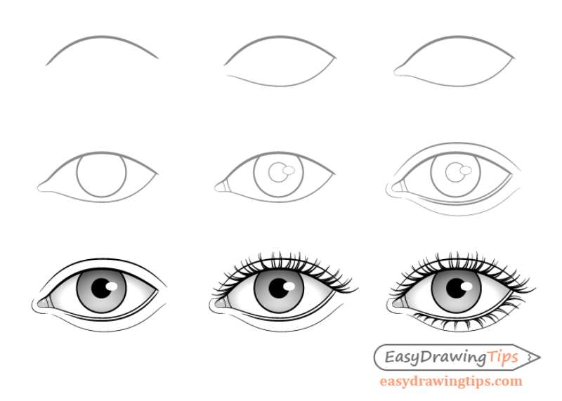A-Quick-Guide_-Eye-Drawing-for-Newbies How To Draw An Eye: Tutorials To Learn From