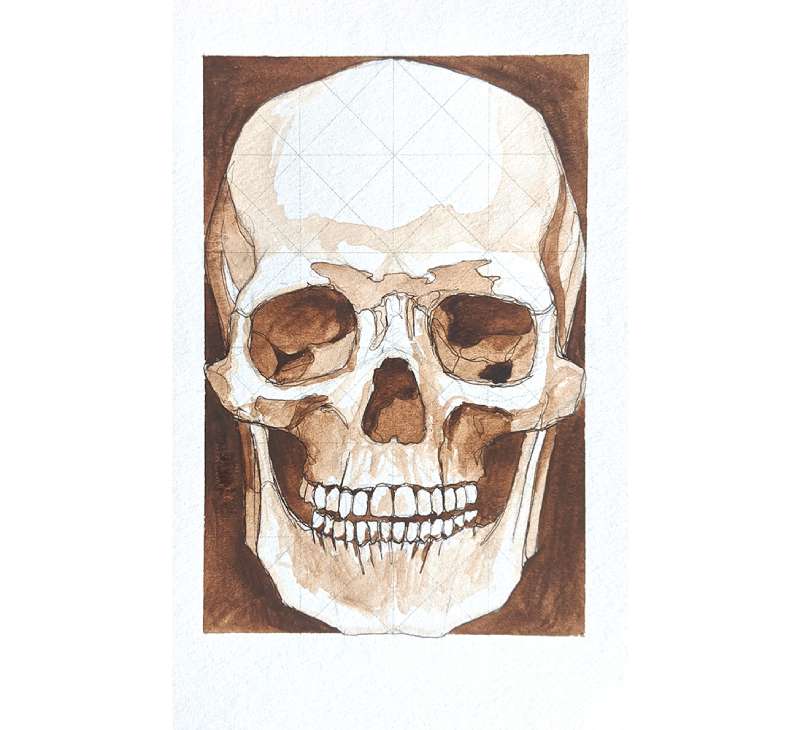 Anatomy-101_-The-Skull How To Draw A Skull: Tutorials To Learn From