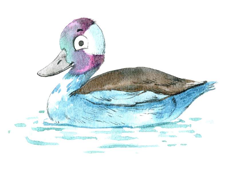 Art-Meets-Aquatic_-Crafting-a-Duck-with-Color How To Draw A Duck: Tutorials To Learn From