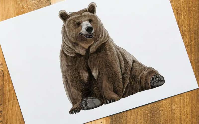 Bear-Art-Inspired-by-the-Classics How To Draw A Bear: Tutorials To Learn From