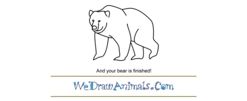 Bear-Doodles-from-Ancient-Vibes How To Draw A Bear: Tutorials To Learn From