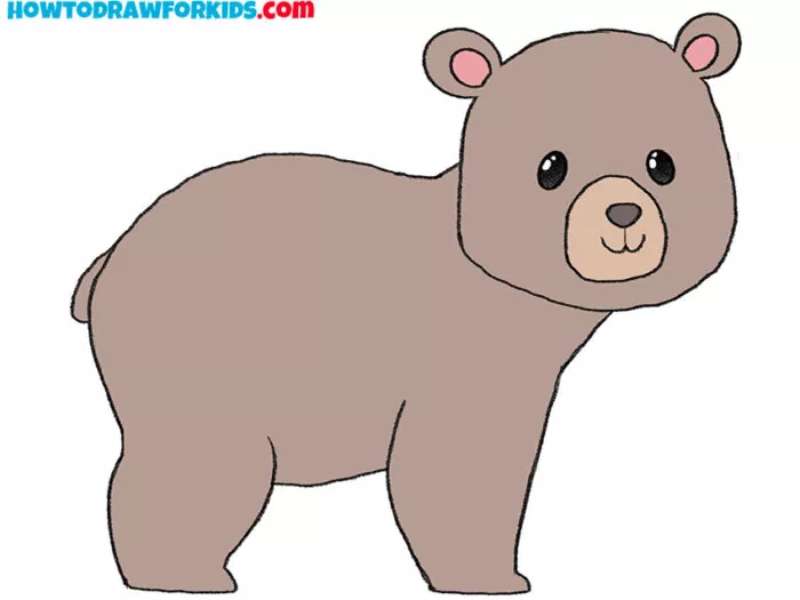 Bear-Drawing-for-Newbies How To Draw A Bear: Tutorials To Learn From