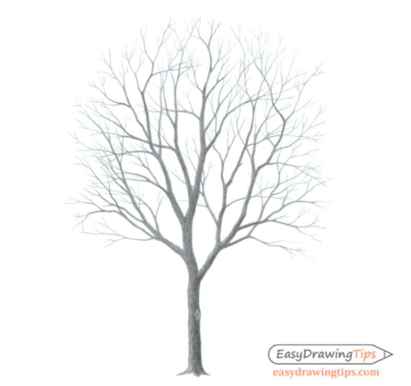 Break-It-Down_-Tree-Drawing-Tutorial How To Draw A Tree: Tutorials To Learn From