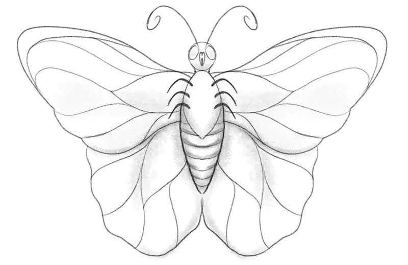 Butterfly-101_-Drawing-for-Newbies How To Draw A Butterfly: Tutorials To Learn From