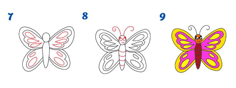 Butterfly-Blueprint_-Drawing-for-Everyone How To Draw A Butterfly: Tutorials To Learn From