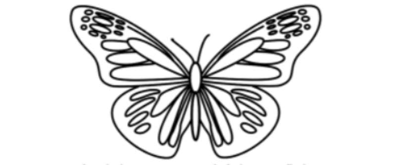 Butterfly-Doodles_-Not-Just-Any-Winged-Art How To Draw A Butterfly: Tutorials To Learn From