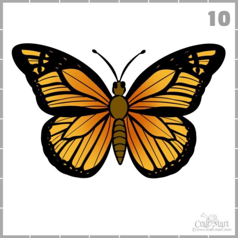 Butterfly-Doodles_-Quick-and-Slick How To Draw A Butterfly: Tutorials To Learn From