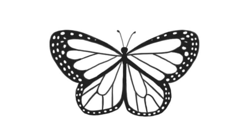 Butterfly-Drawing_-Less-Intimidating-More-Fun How To Draw A Butterfly: Tutorials To Learn From