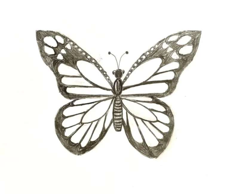 Butterfly-Drawing_-No-More-Wonky-Wings-1 How To Draw A Butterfly: Tutorials To Learn From
