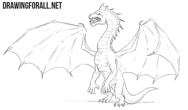 Classic-Dragon-Doodles How To Draw A Dragon: Tutorials To Learn From