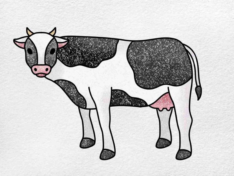 Cow-Creations_-Drawing-Made-Easy How To Draw A Cow: Tutorials To Learn From
