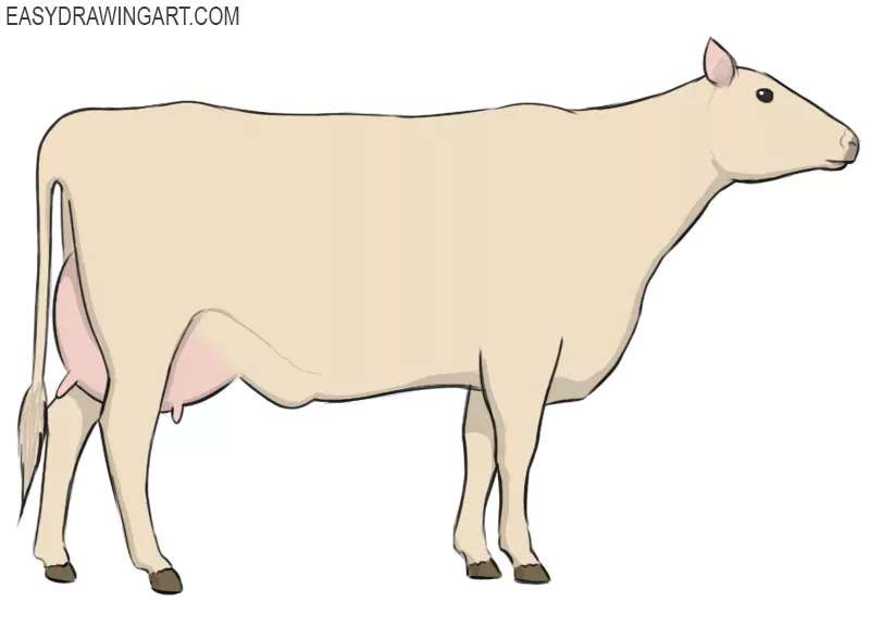 Cow-Doodles_-Making-it-Look-Real-Easy How To Draw A Cow: Tutorials To Learn From