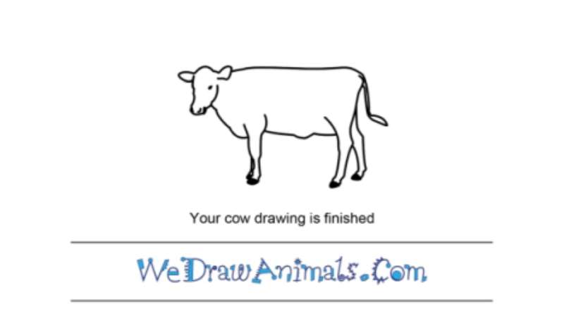 Cow-Doodles_-Simple-Steps-for-Everyone How To Draw A Cow: Tutorials To Learn From