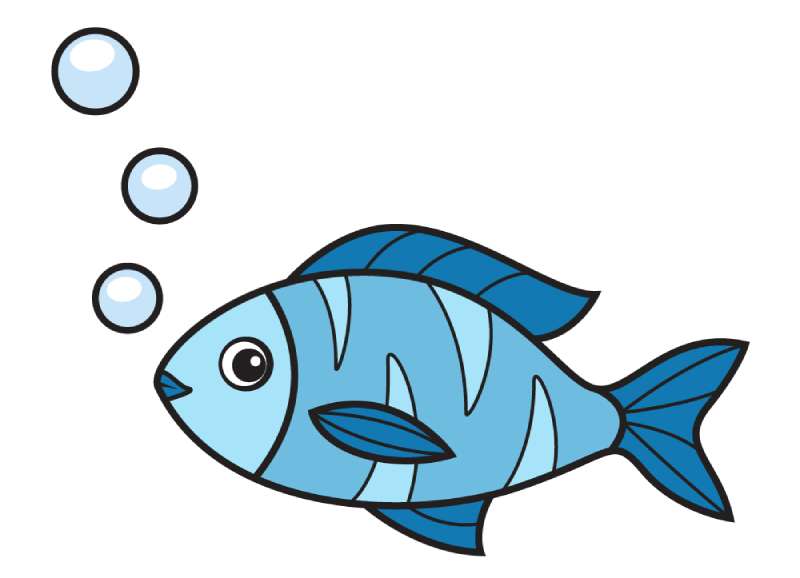 Craft-Your-Fish-Masterpiece_-A-Journey-in-Steps How To Draw A Fish: Tutorials To Learn From