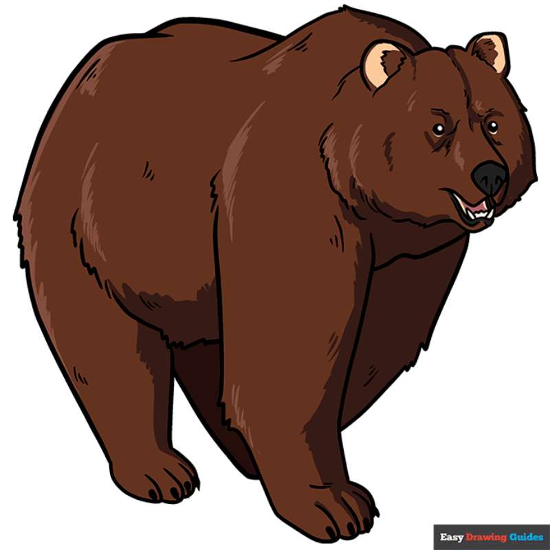 Crafting-a-Bear-Masterpiece How To Draw A Bear: Tutorials To Learn From