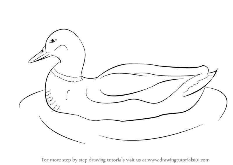 Crafting-a-Duck_-Artistry-Made-Simple How To Draw A Duck: Tutorials To Learn From