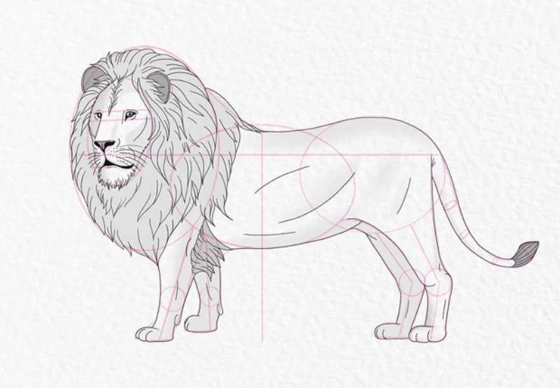 Crafting-a-Legendary-Lion-Look How To Draw A Lion: Tutorials To Learn From