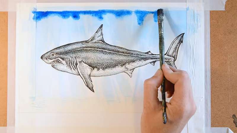 Crafting-a-Lifelike-Shark-on-Paper How To Draw A Shark: Tutorials To Learn From