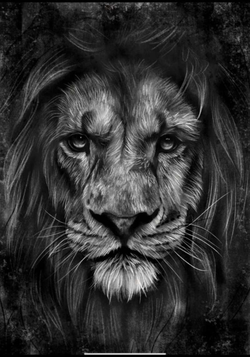 Crafting-a-Super-Realistic-Lion-%E2%80%93-Lets-Get-Artsy How To Draw A Lion: Tutorials To Learn From