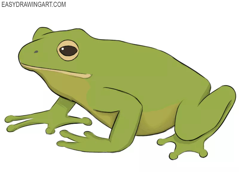 DIY-Frog-Art_-Drawing-that-Froggo-with-a-Breeze How To Draw A Frog: Tutorials To Learn From