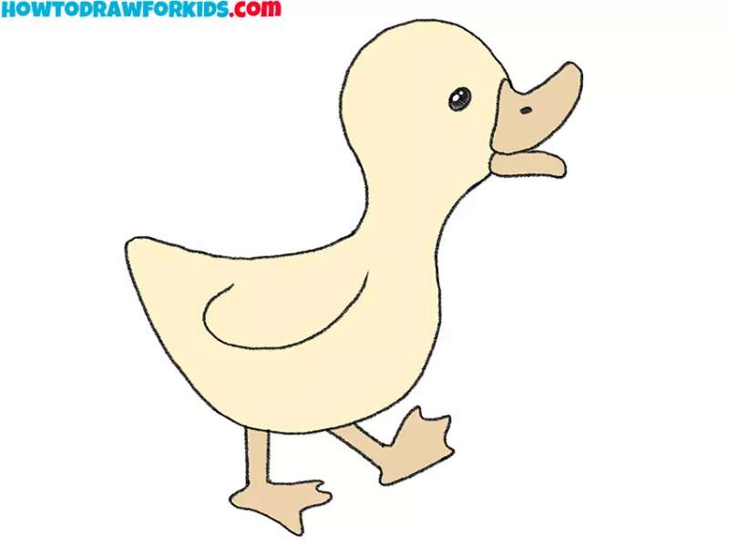 Doodle-Me-a-Duck-Cartoon How To Draw A Duck: Tutorials To Learn From