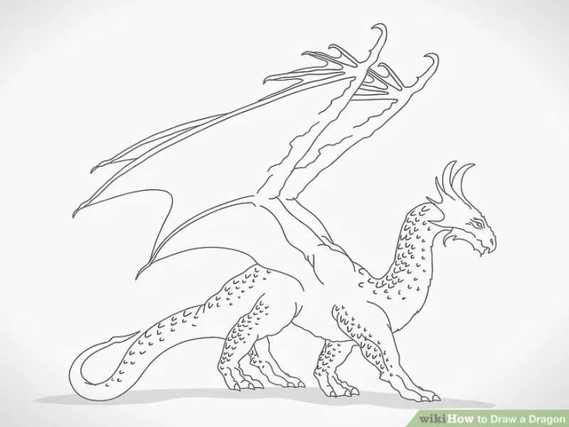 Dragon-Design-101_-The-Basics How To Draw A Dragon: Tutorials To Learn From