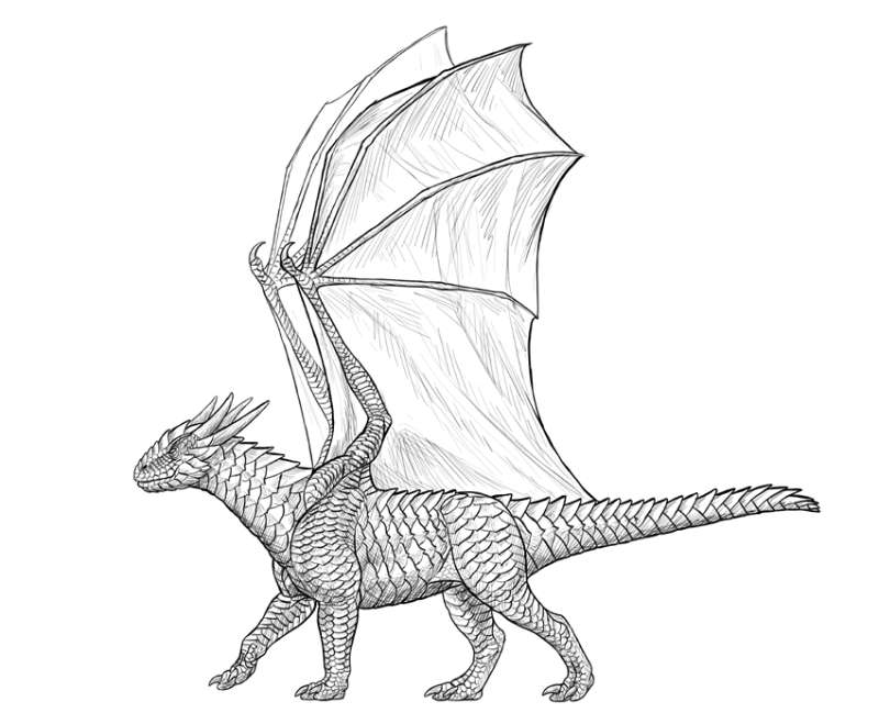 Dragon-Drawing-%E2%80%93-Dive-Deep How To Draw A Dragon: Tutorials To Learn From