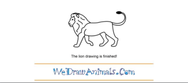 Drawing-a-Lion-%E2%80%93-Its-Not-As-Tough-As-It-Looks How To Draw A Lion: Tutorials To Learn From